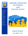 Colorado Commission on Criminal and Juvenile Justice: 2008 Annual Report (December 2008)