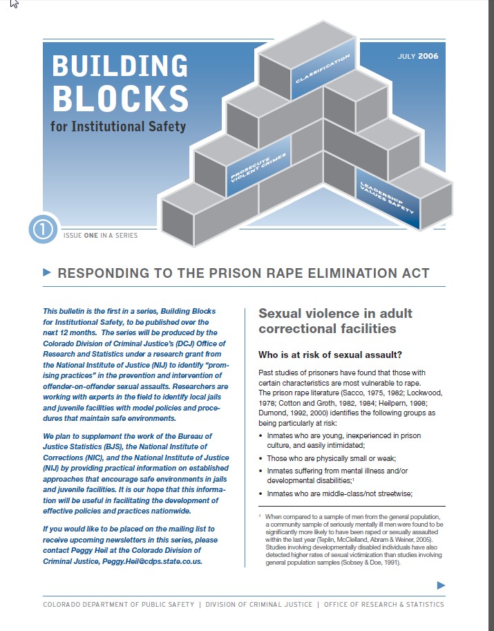 Bulletin Series(Issue 1): Building Blocks for Institutional Safety (July 2006)