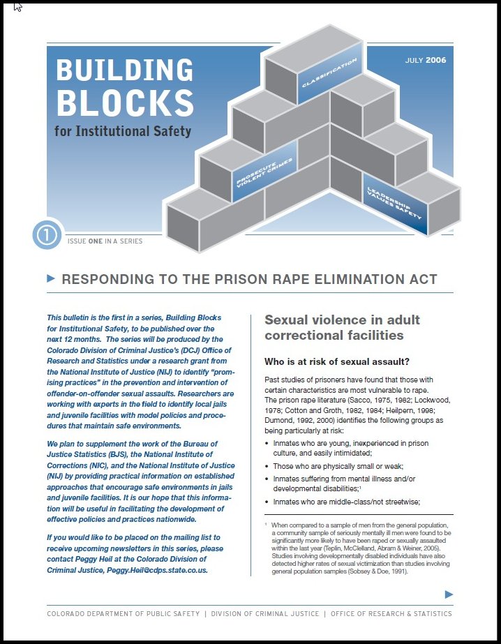 Bulletin Series(Issue 1): Building Blocks for Institutional Safety (July 2006)