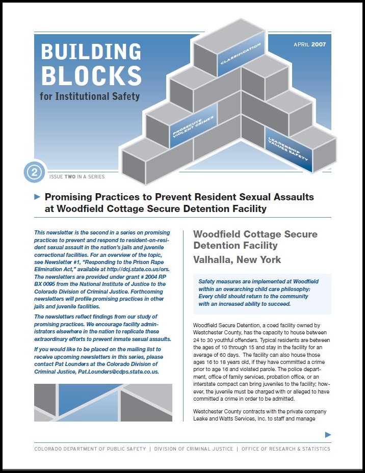 Bulletin Series(Issue 2): Building Blocks for Institutional Safety