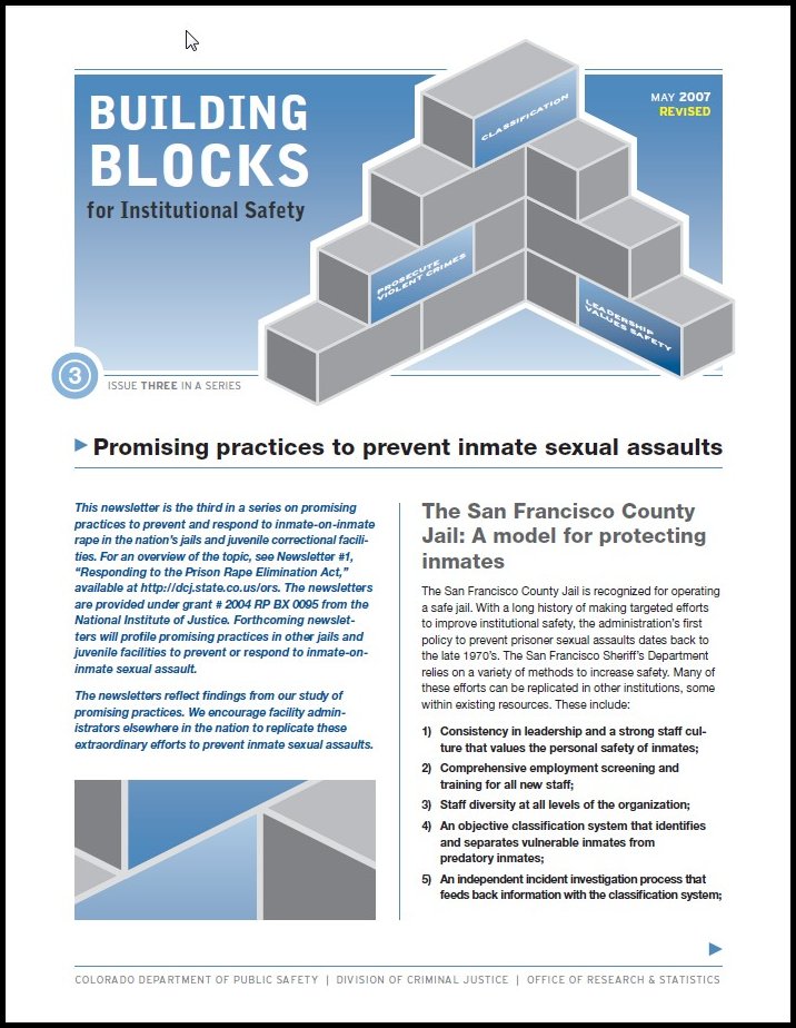 Bulletin Series(Issue 3): Building Blocks for Institutional Safety