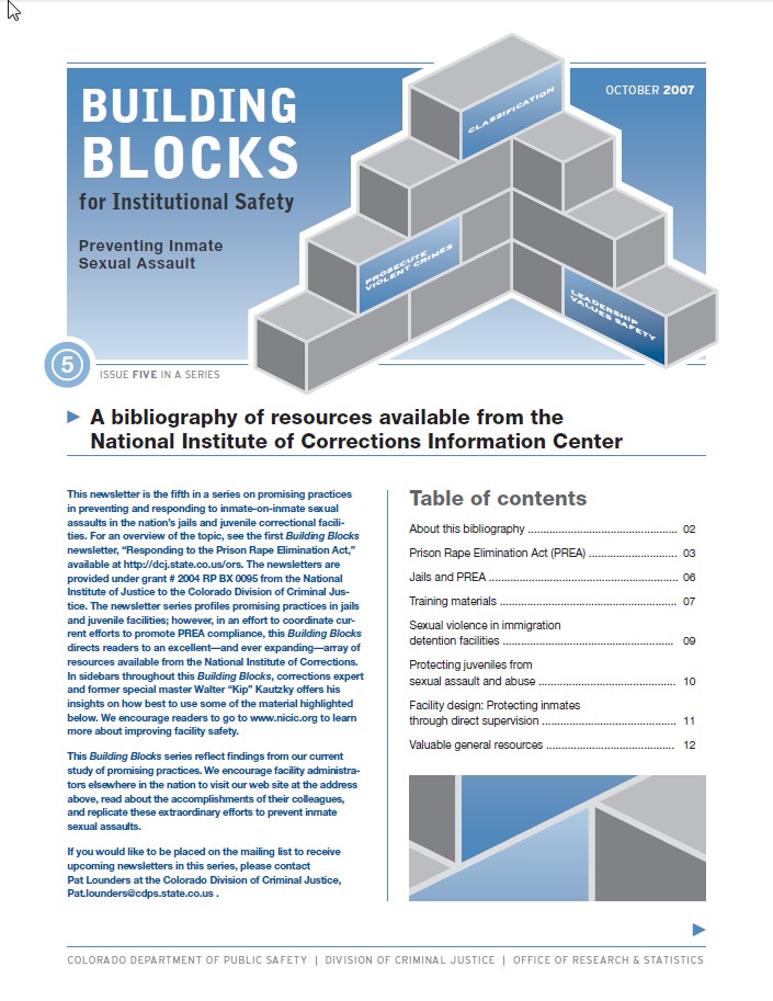 Bulletin Series: Building Blocks for Institutional Safety